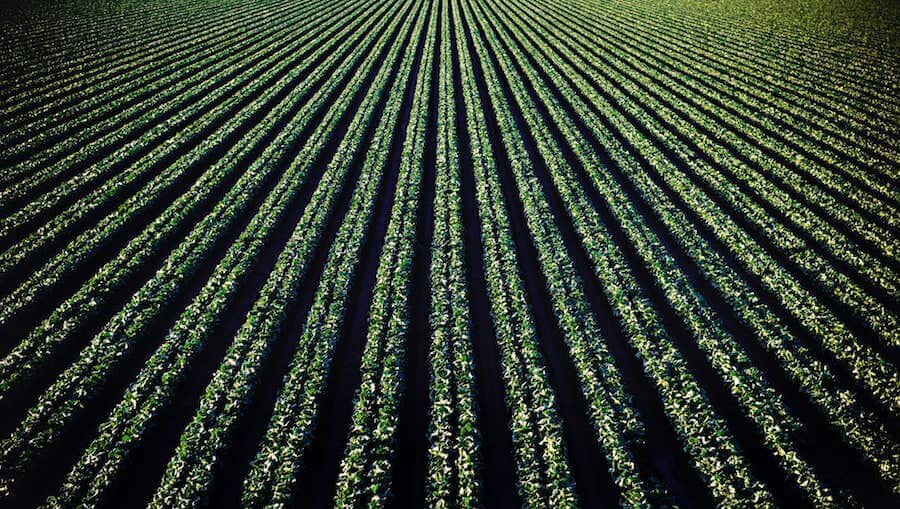 Nitrate Leaching