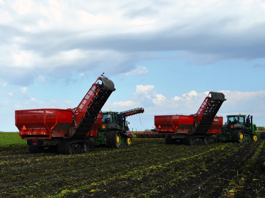 Sugar Beet Cart Sugar Beet Cart