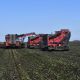 Crop Chaser in Sugar Beets
